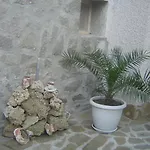 Dimovi