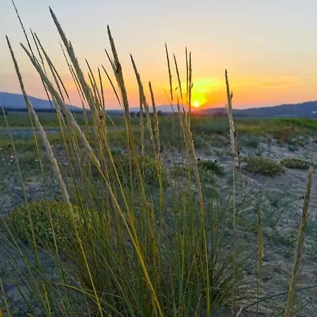 بيت ضيافة Dimovi