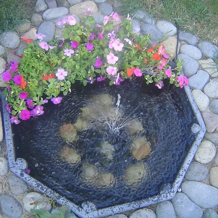 Dimovi سوزوبول